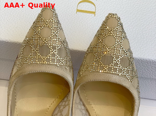 Dior Capture Pump in Transparent Mesh with Strass Cannage Motif and Nude Suede Goatskin Replica