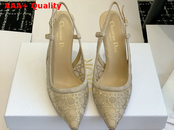 Dior Capture Slingback Pump in Transparent Mesh with Strass Cannage Motif and Nude Suede Goatskin Replica