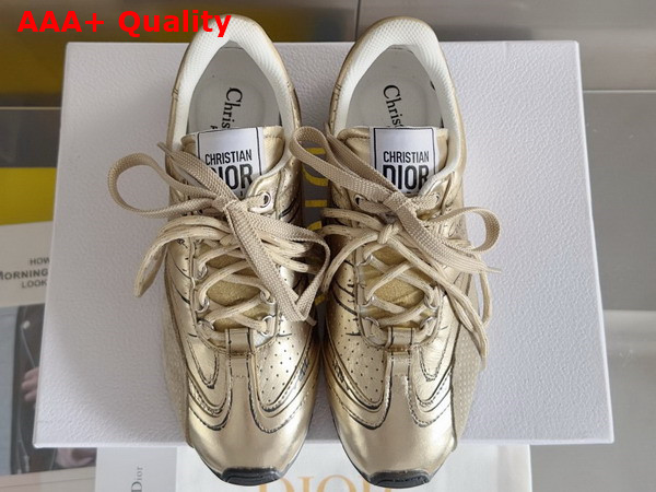 Dior D Sketch Sneaker Gold Tone Crinkled Lambskin and Laminated Calfskin Replica