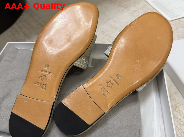 Dior Dentelle Slide in Beige Dior Oblique Embroidered Cotton and White Lace Replica