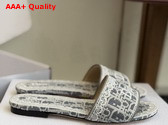 Dior Dentelle Slide in Gray Dior Oblique Embroidered Cotton and White Lace Replica