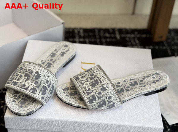 Dior Dentelle Slide in Gray Dior Oblique Embroidered Cotton and White Lace Replica