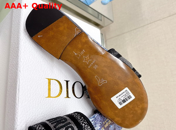 Dior Dway Slide Blue Multicolor Cotton with Dior Jardin Magique Embroidery Replica