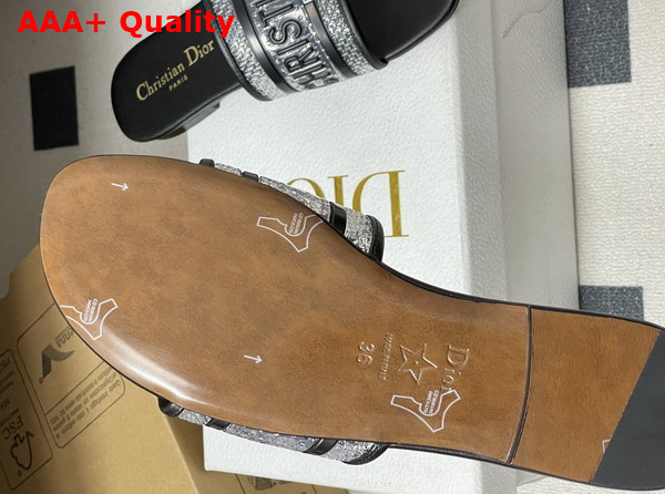 Dior Dway Slide Transparent and Black Vinyl Replica