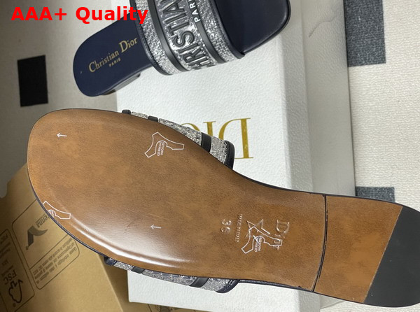 Dior Dway Slide Transparent and Blue Vinyl Replica