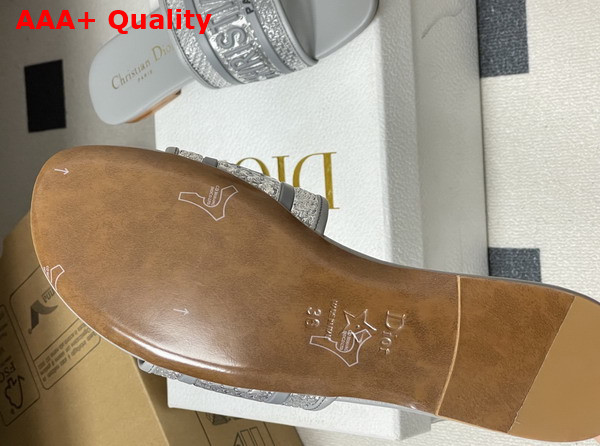 Dior Dway Slide Transparent and Gray Vinyl Replica