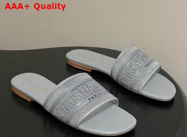 Dior Dway Slide Transparent and Gray Vinyl Replica