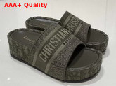 Dior Green Dway Dior Oblique Embroidered Cotton Wedge Mule Replica