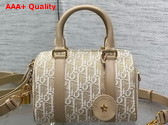 Dior Groove 20 Bag in Natural Dior Oblique Jacquard Replica