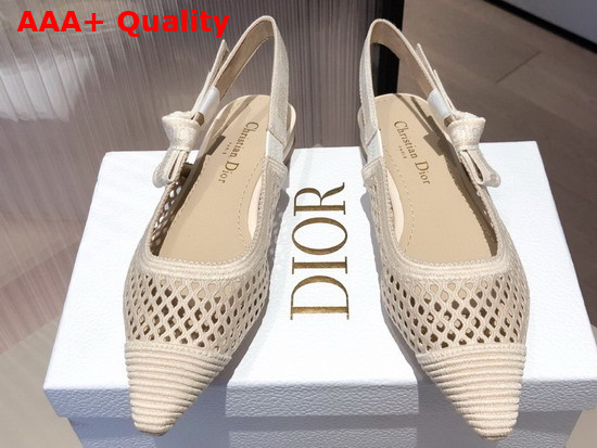 Dior J Adior Slingback Ballerina Flat Cream Mesh Embroidery Replica