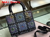 Dior Lady Dior Bag in Heat Embossed Calfskin with Hand Painting Replica