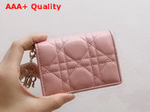 Dior Lady Dior Lambskin Card Holder in Pink Cannage Lambskin Replica