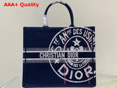 Dior Large Dior Book Tote Blue Dior Union Embroidery Replica