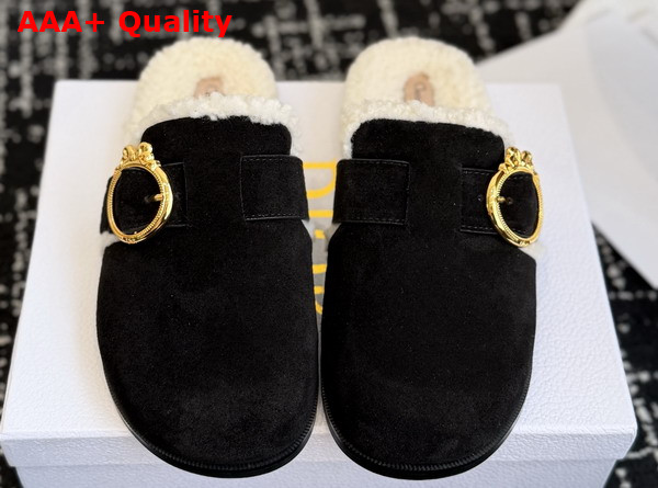 Dior Medaillon Buckle Mule in Black Suede Calfskin and Shearling Replica