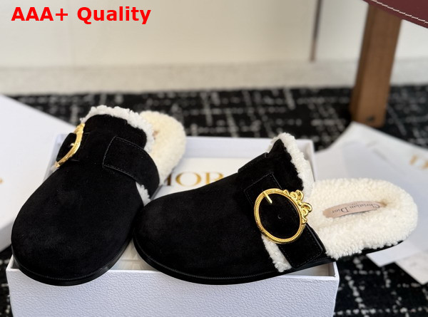 Dior Medaillon Buckle Mule in Black Suede Calfskin and Shearling Replica