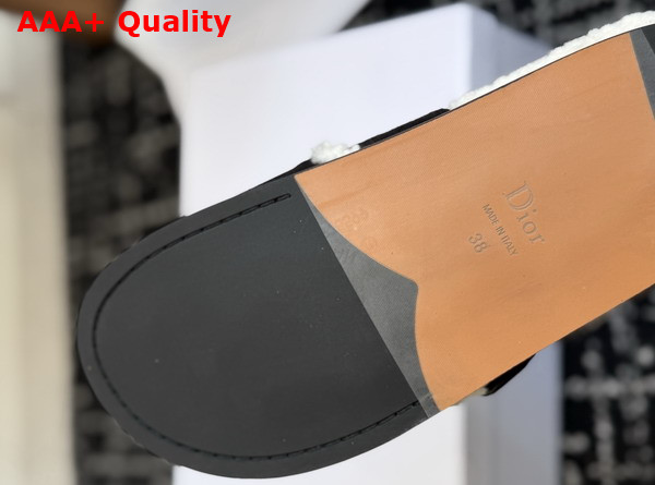 Dior Medaillon Buckle Mule in Black Suede Calfskin and Shearling Replica