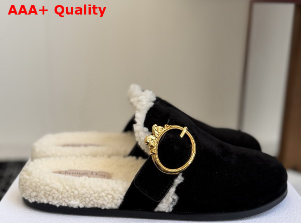 Dior Medaillon Buckle Mule in Black Suede Calfskin and Shearling Replica