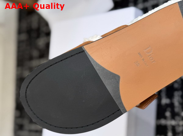 Dior Medaillon Buckle Mule in Marron Suede Calfskin and Shearling Replica
