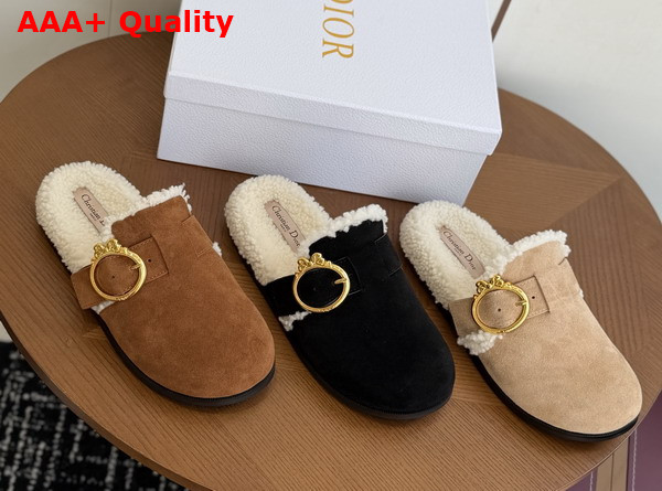 Dior Medaillon Buckle Mule in Marron Suede Calfskin and Shearling Replica