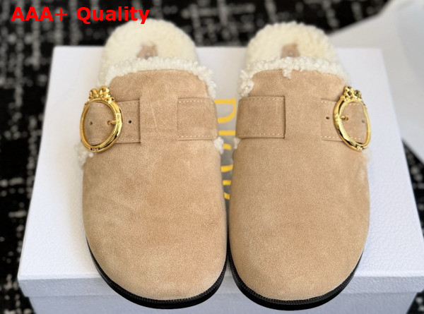 Dior Medaillon Buckle Mule in Trench Suede Calfskin and Shearling Replica