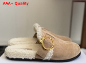 Dior Medaillon Buckle Mule in Trench Suede Calfskin and Shearling Replica