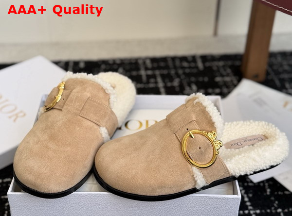 Dior Medaillon Buckle Mule in Trench Suede Calfskin and Shearling Replica