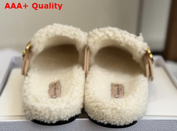 Dior Medaillon Buckle Mule in Trench Suede Calfskin and Shearling Replica