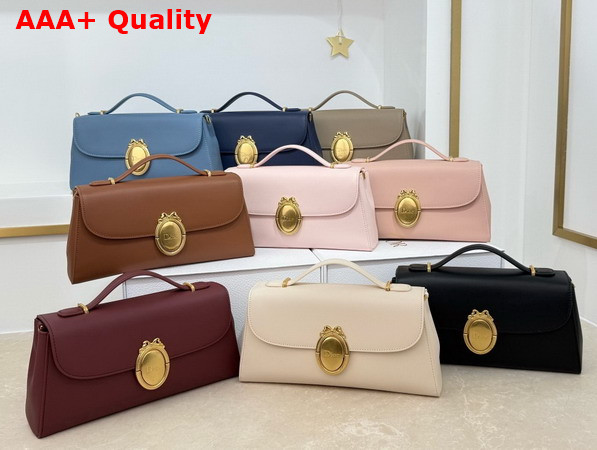 Dior Medaillon Pouch in Brown Smooth Calfskin Replica