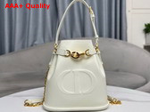 Dior Medium Cest Dior Bag Latte CD Embossed Calfskin Replica