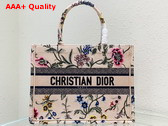Dior Medium Dior Book Tote Natural Multicolor Raffia Embroidered with Dior Petites Fleurs Replica