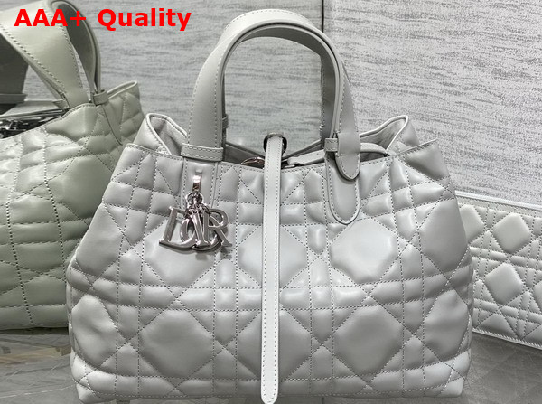 Dior Medium Dior Toujours Bag in Cloud Gray Macrocannage Calfskin Replica