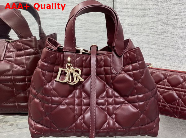 Dior Medium Dior Toujours Bag in Plum Macrocannage Calfskin Replica