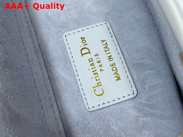 Dior Medium Lady D Joy Bag in Shirt Blue Cannage Lambskin Replica