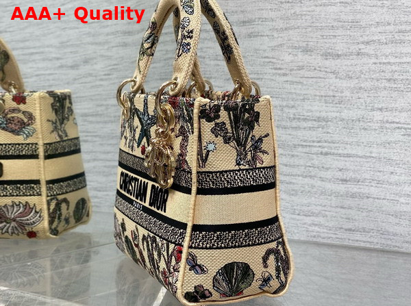 Dior Medium Lady D Lite Bag Beige Raffia with Multicolor Dior Cabinet de Curiosites Embroidery Replica