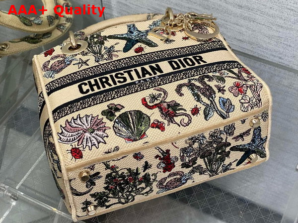 Dior Medium Lady D Lite Bag Beige Raffia with Multicolor Dior Cabinet de Curiosites Embroidery Replica