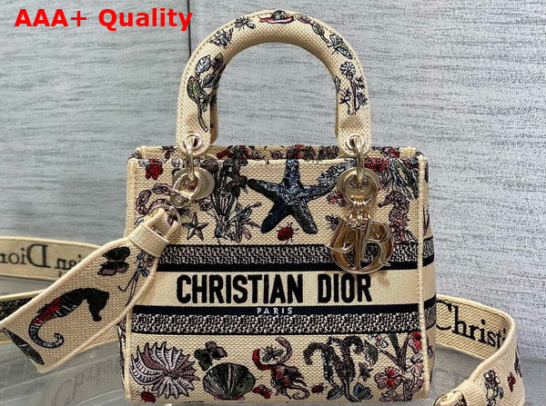 Dior Medium Lady D Lite Bag Beige Raffia with Multicolor Dior Cabinet de Curiosites Embroidery Replica