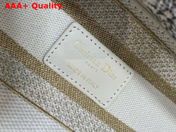 Dior Medium Lady D Lite Bag Latte Embroidery with Gold Tone Dior Around the World Motif Replica