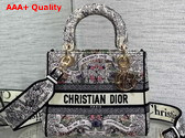 Dior Medium Lady D Lite Bag Latte Embroidery with Multicolor Dior Around the World Motif Replica