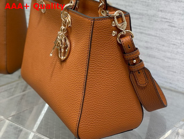 Dior Medium Lady D Sire My Abcdior Bag Dark Brandy Bull Leather Replica