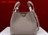 Dior Medium Signature Bucket Bag in Gray Grained Calfskin Replica