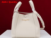 Dior Medium Signature Bucket Bag in Latte Grained Calfskin Replica