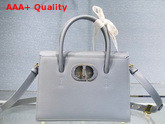 Dior Medium St Honore Tote Cloud Blue Grained Calfskin Replica