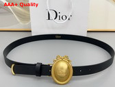 Dior Metaillon Belt in Black Smooth Calfskin 25mm Replica