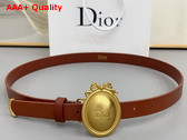 Dior Metaillon Belt in Brown Smooth Calfskin 25mm Replica