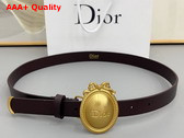 Dior Metaillon Belt in Cocoa Smooth Calfskin 25mm Replica