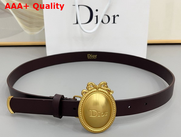 Dior Metaillon Belt in Cocoa Smooth Calfskin 25mm Replica