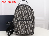 Dior Mini Rider Sling Bag Beige and Black Dior Oblique Jacquard Replica