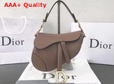Dior Mini Saddle Bag in Pink Calfskin Replica