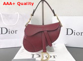 Dior Mini Saddle Bag in Red Calfskin Replica