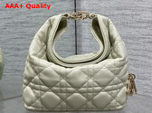 Dior Mini Toujours Hobo Bag in Pale Green Cannage Lambskin Replica